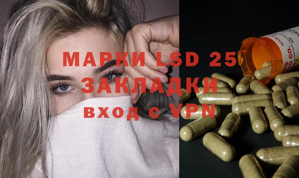 PSILOCYBIN Заводоуковск