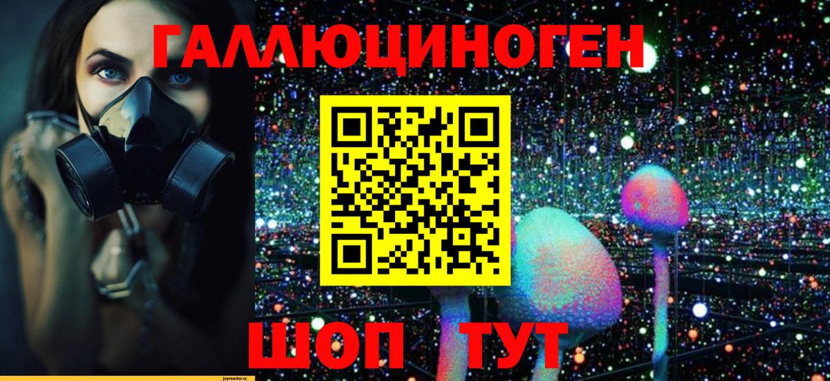 Галлюциногенные грибы мухоморы Александров