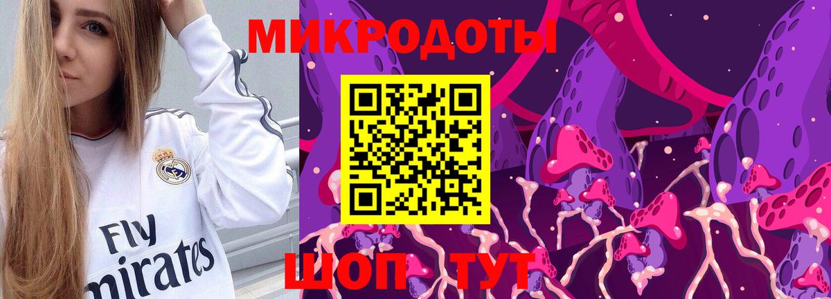 Псилоцибиновые грибы мицелий Александров
