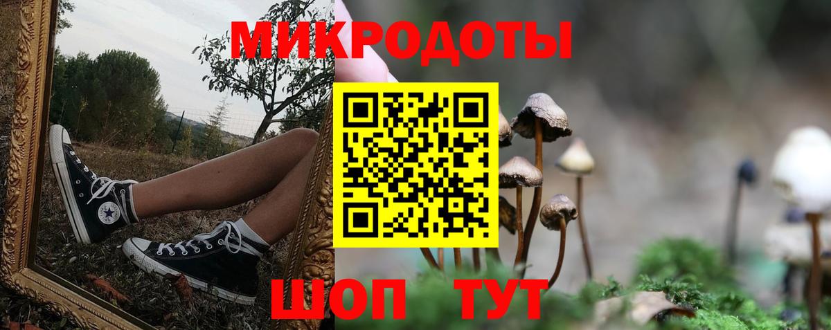 Псилоцибиновые грибы Magic Shrooms Александров
