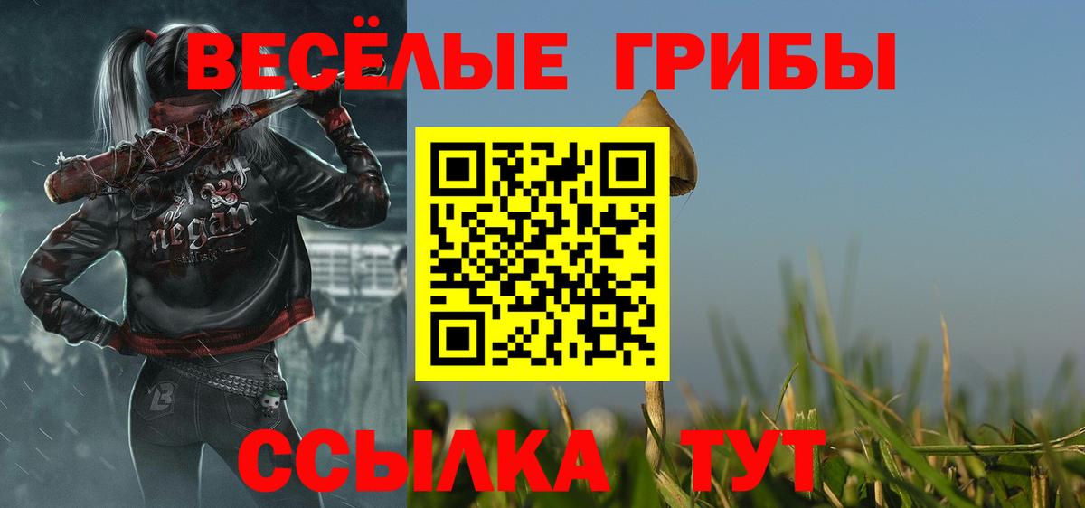 Александров  Псилоцибиновые грибы мухоморы  Вход с VPN 