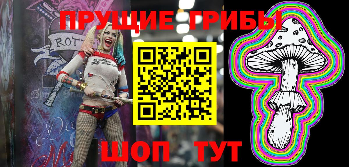Александров  Псилоцибиновые грибы Magic Shrooms  Вход с VPN 